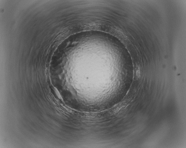 X0000067870819200604201215