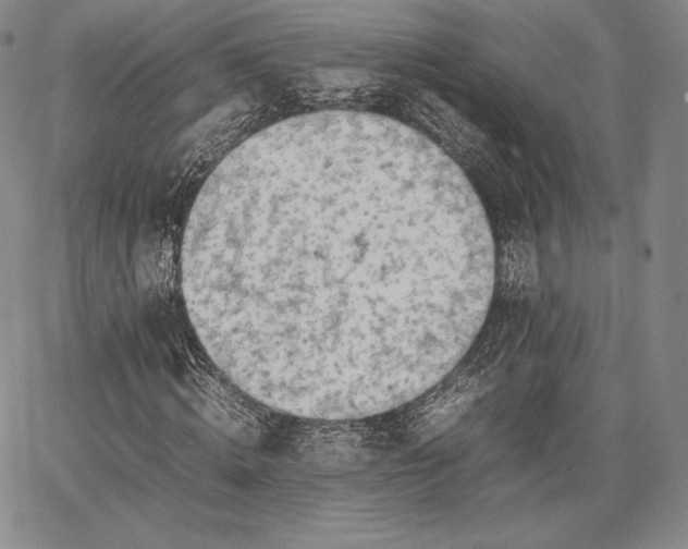 X0000067870820200604201215