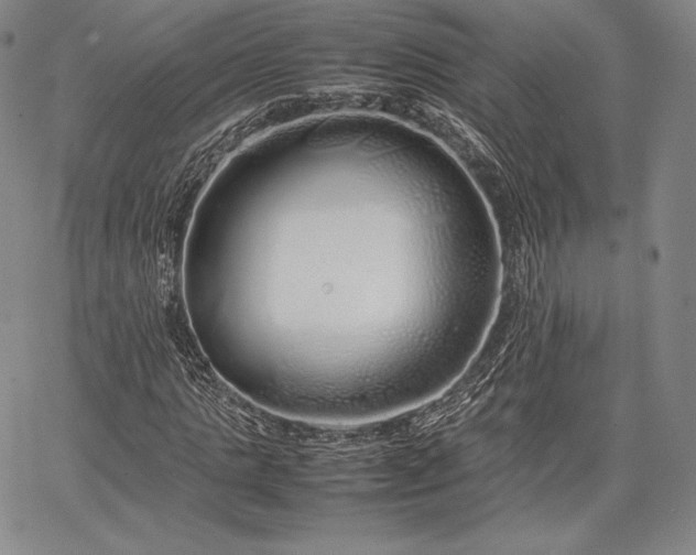 X0000067870821200604201215