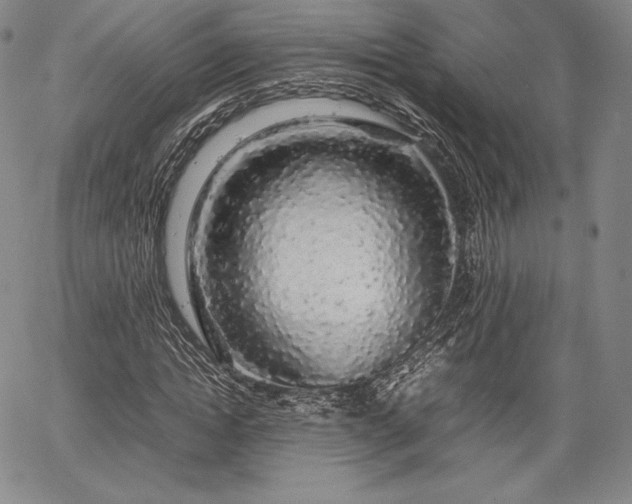 X0000067870822200604201215