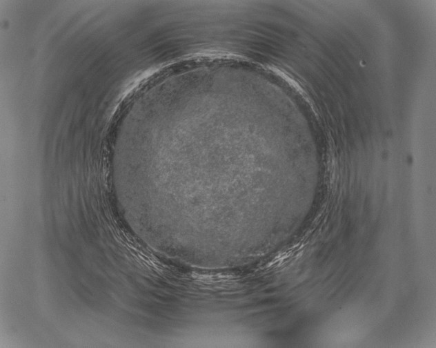 X0000067870823200604201215