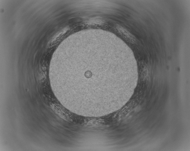 X0000067870824200604201215