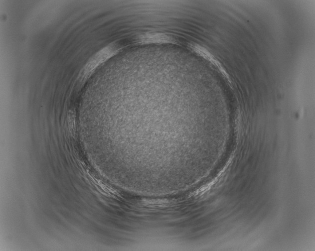 X0000067870825200604201215