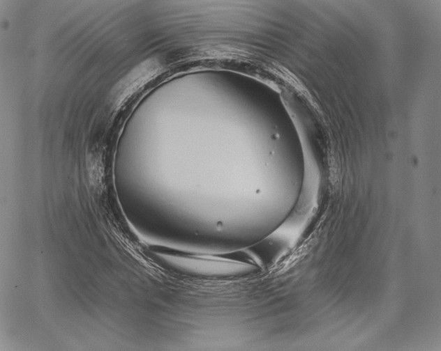 X0000067870826200604201215