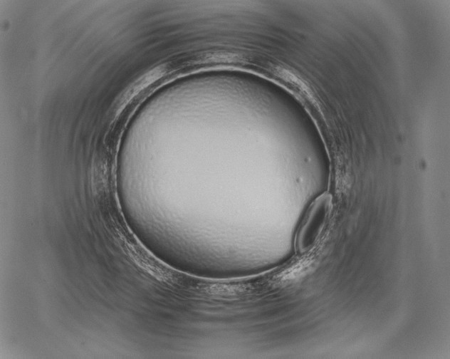 X0000067870827200604201215