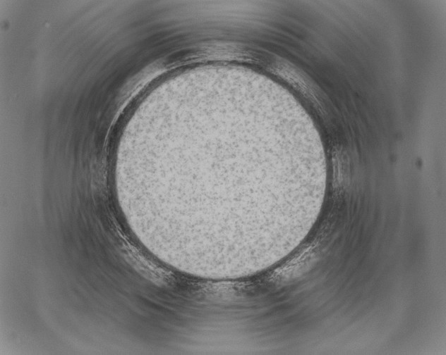 X0000067870828200604201215