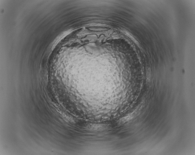 X0000067870829200604201215