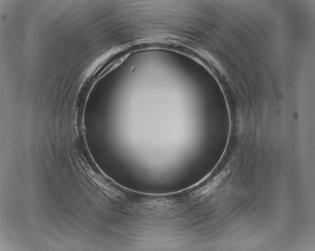 X0000067870830200604201215