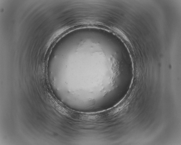 X0000067870831200604201215