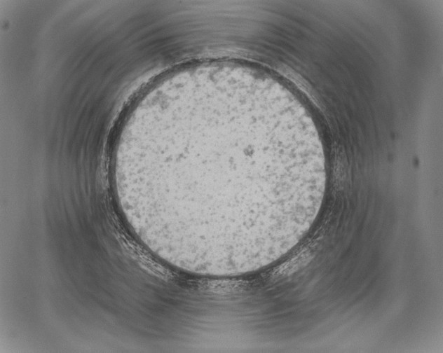 X0000067870832200604201216