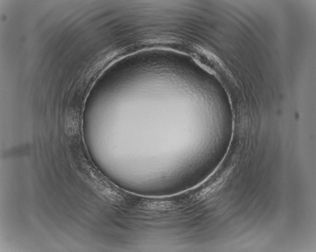 X0000067870833200604201216