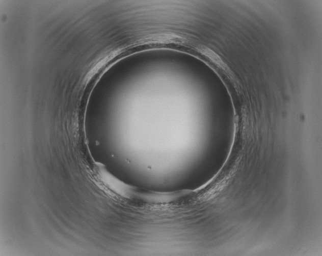 X0000067870834200604201216