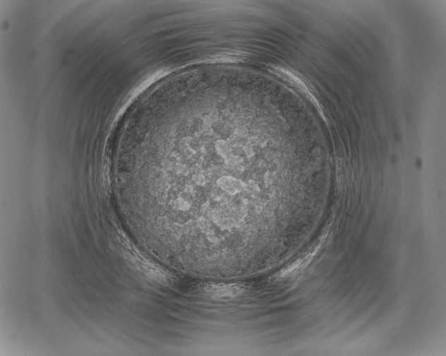 X0000067870835200604201216