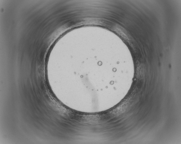 X0000067870836200604201216