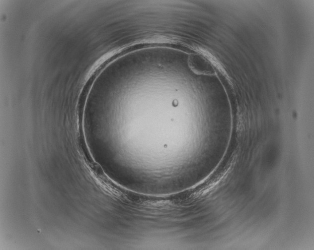 X0000067870837200604201216