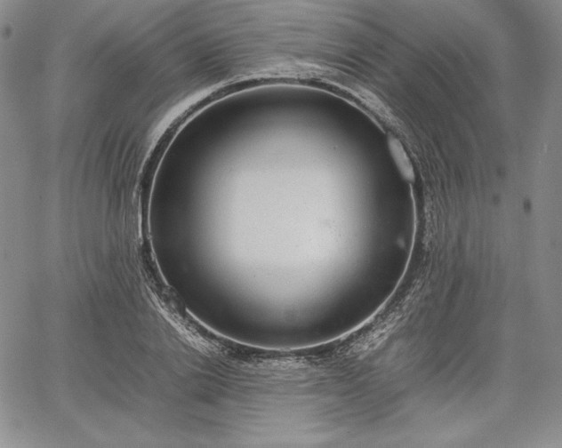 X0000067870838200604201216