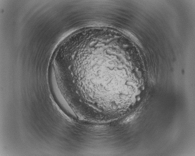 X0000067870839200604201216