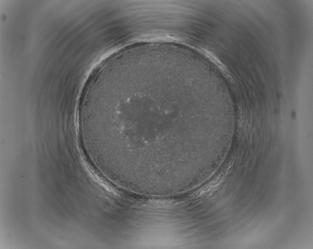 X0000067870840200604201216