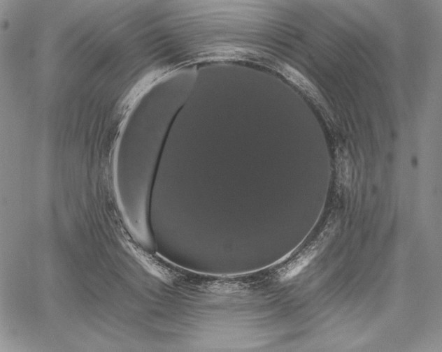 X0000067870842200604201216