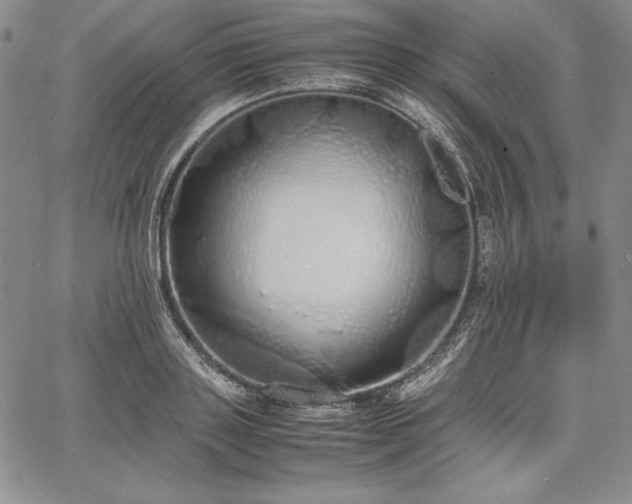 X0000067870843200604201216