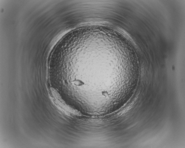 X0000067870844200604201216