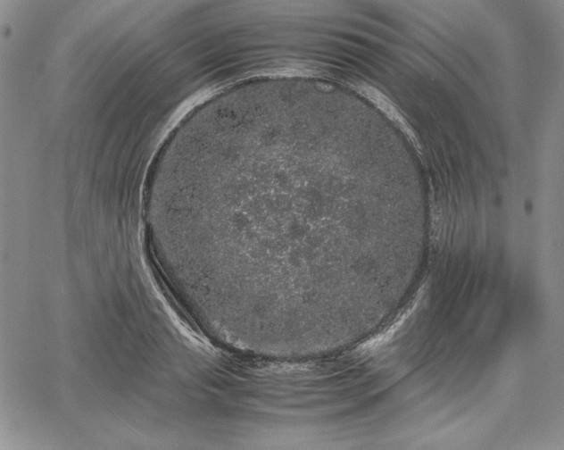 X0000067870845200604201216