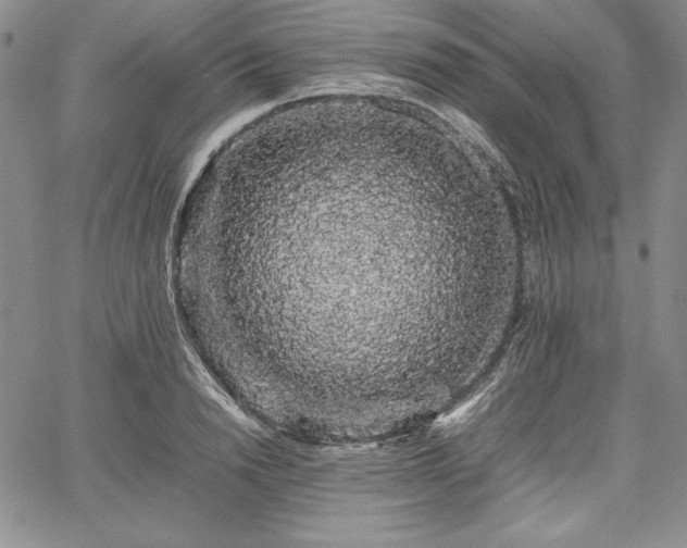 X0000067870846200604201216