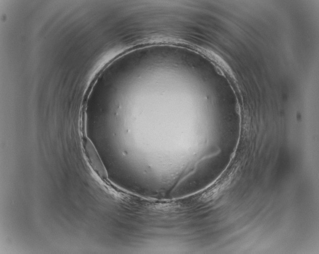 X0000067870847200604201216