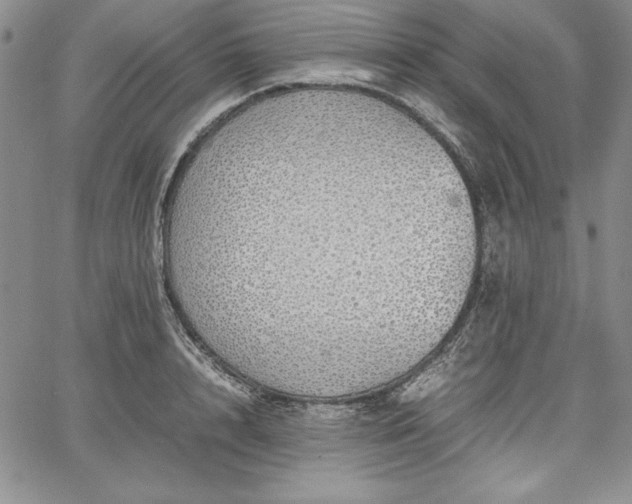 X0000067870848200604201216