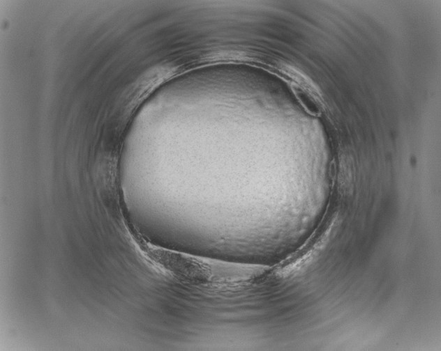 X0000067870849200604201216