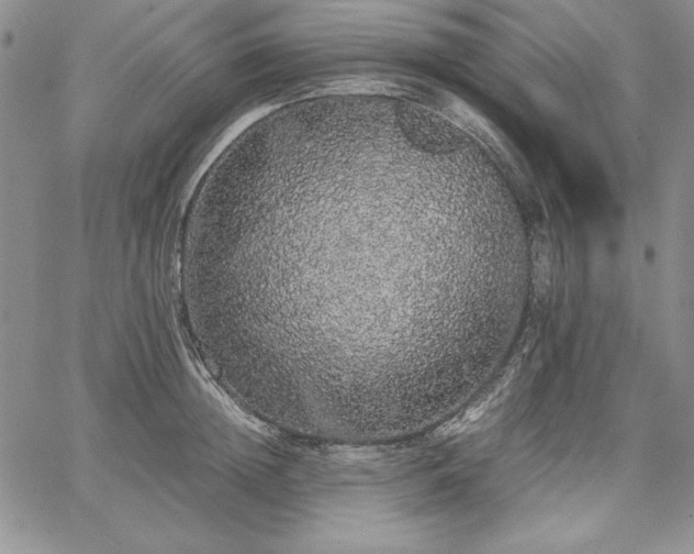 X0000067870852200604201216