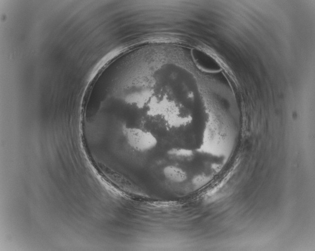 X0000067870853200604201216