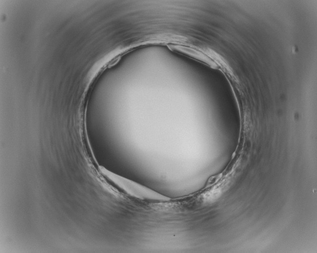 X0000067870854200604201216