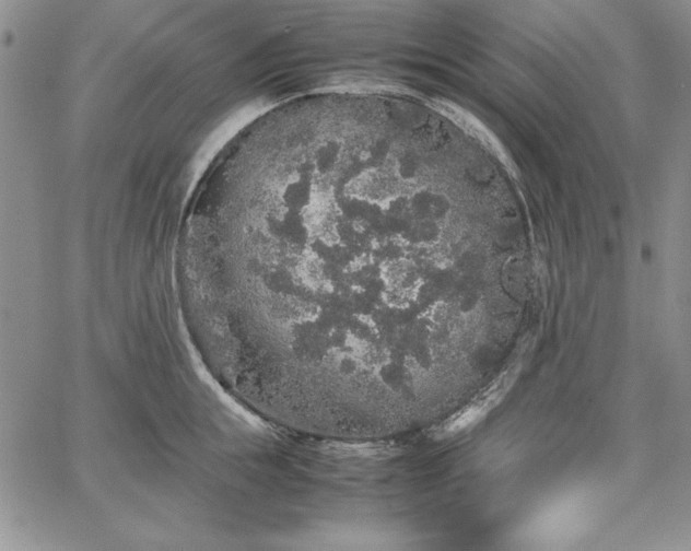 X0000067870855200604201216