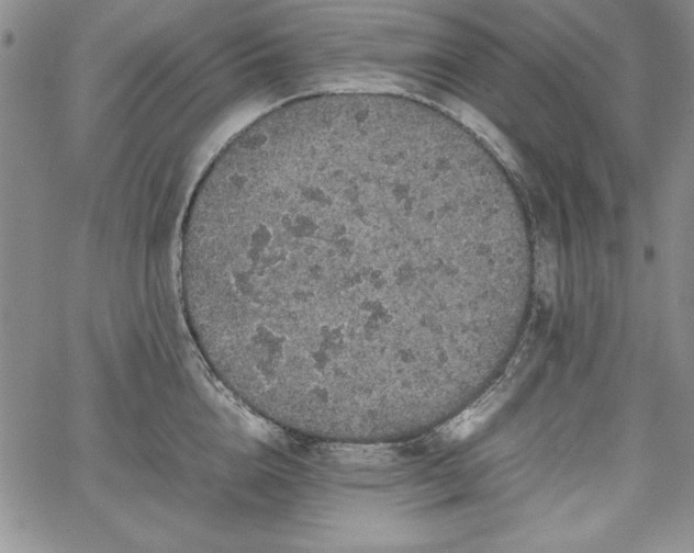 X0000067870856200604201216