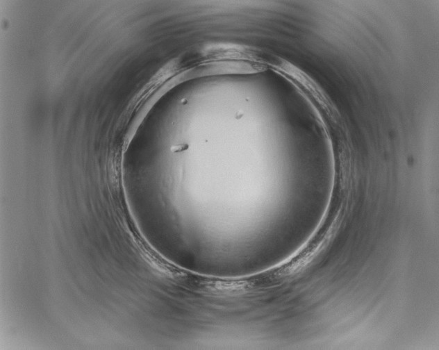 X0000067870857200604201216