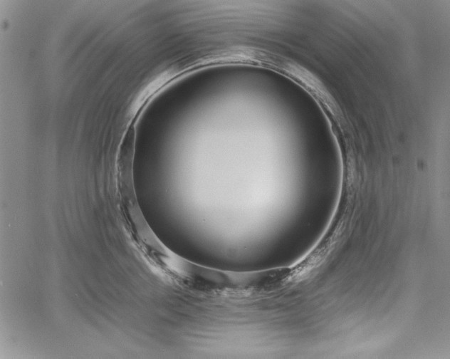 X0000067870858200604201216