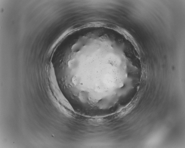 X0000067870859200604201216