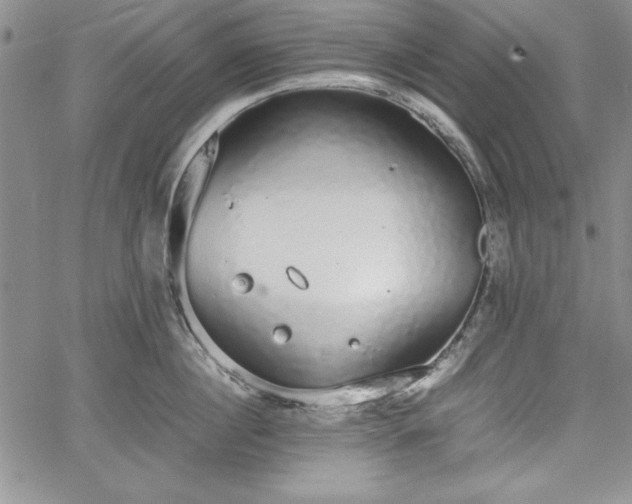 X0000067870860200604201216