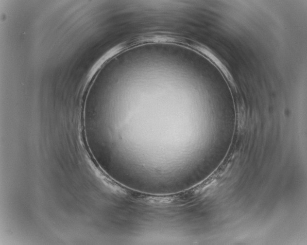 X0000067870861200604201216