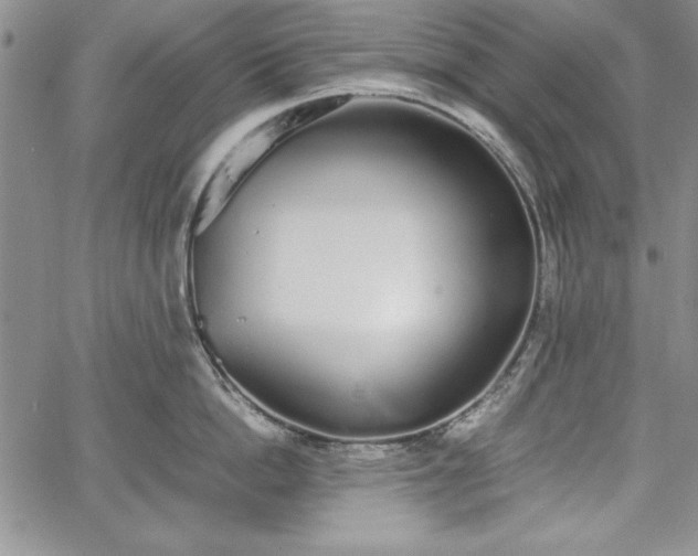 X0000067870862200604201216