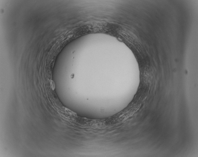 X0000067870865200604201215