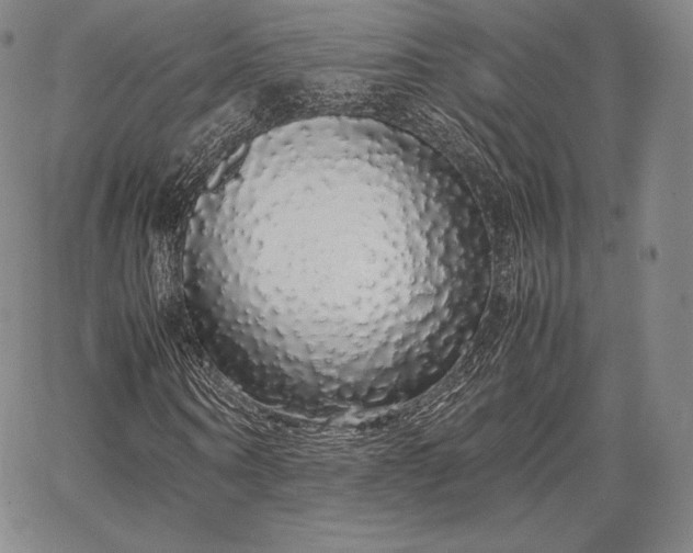 X0000067870866200604201215