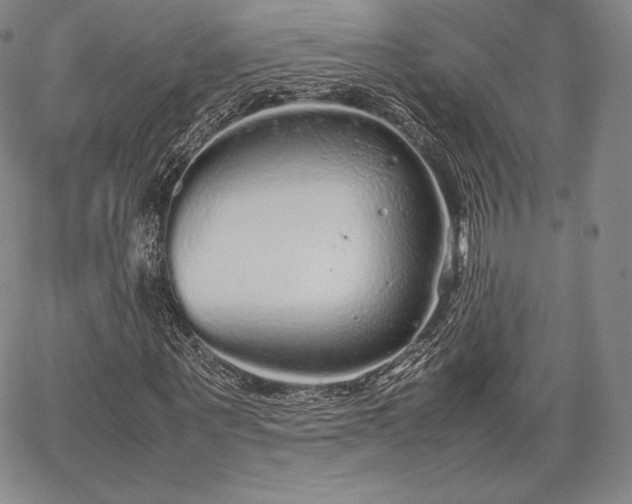 X0000067870867200604201215