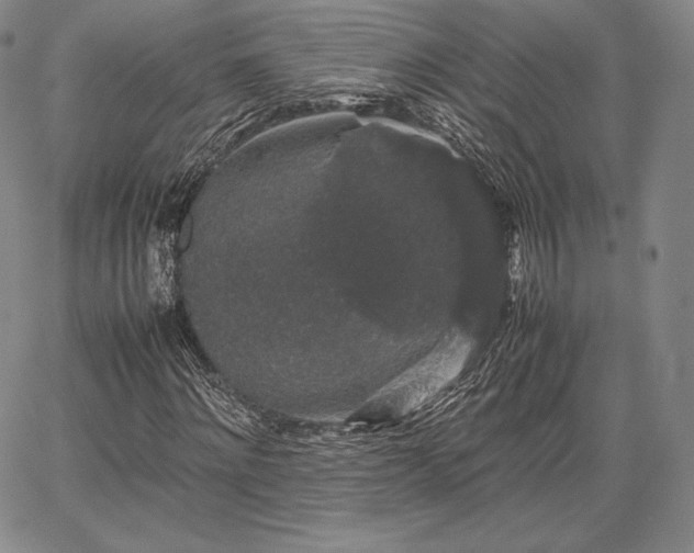 X0000067870868200604201215