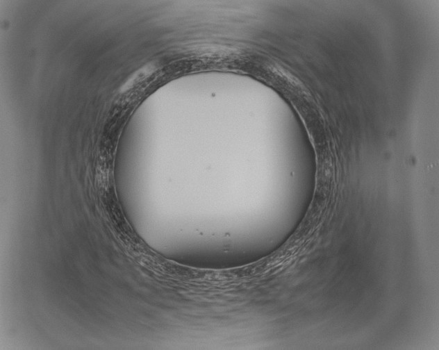 X0000067870869200604201215