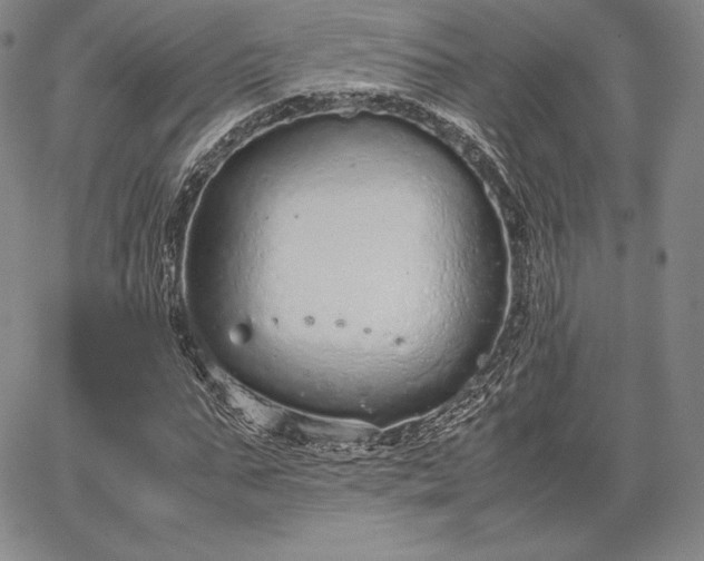 X0000067870871200604201215