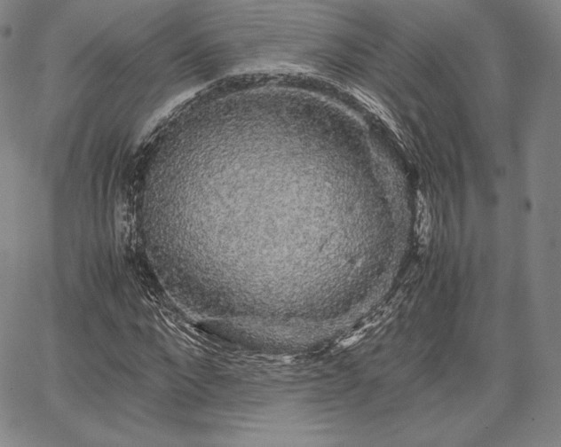 X0000067870872200604201215