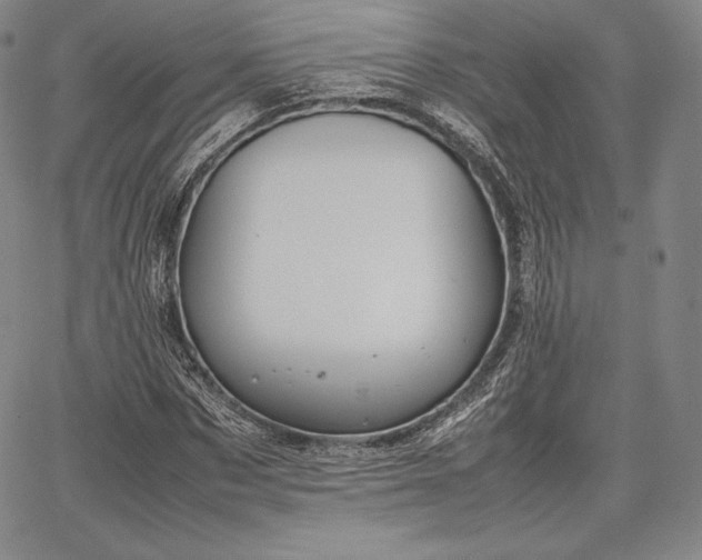 X0000067870873200604201215