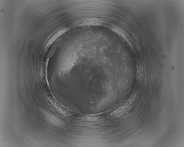 X0000067870874200604201215